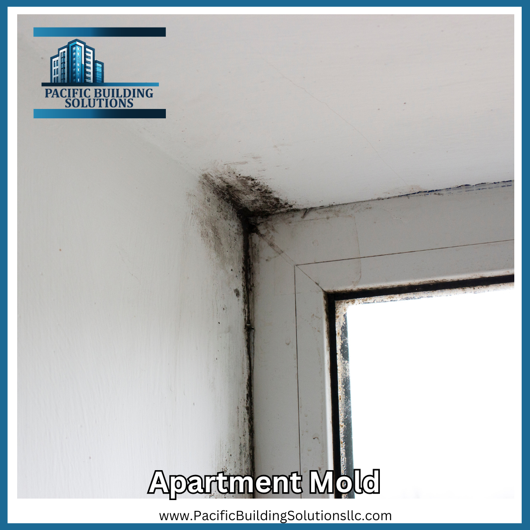 apartment-mold