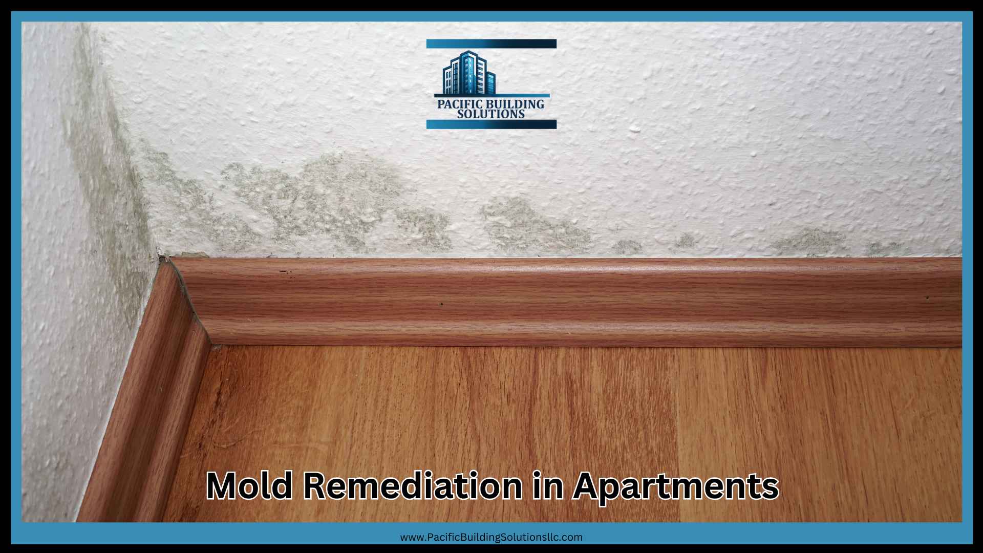 Mold Remediation in Apartments