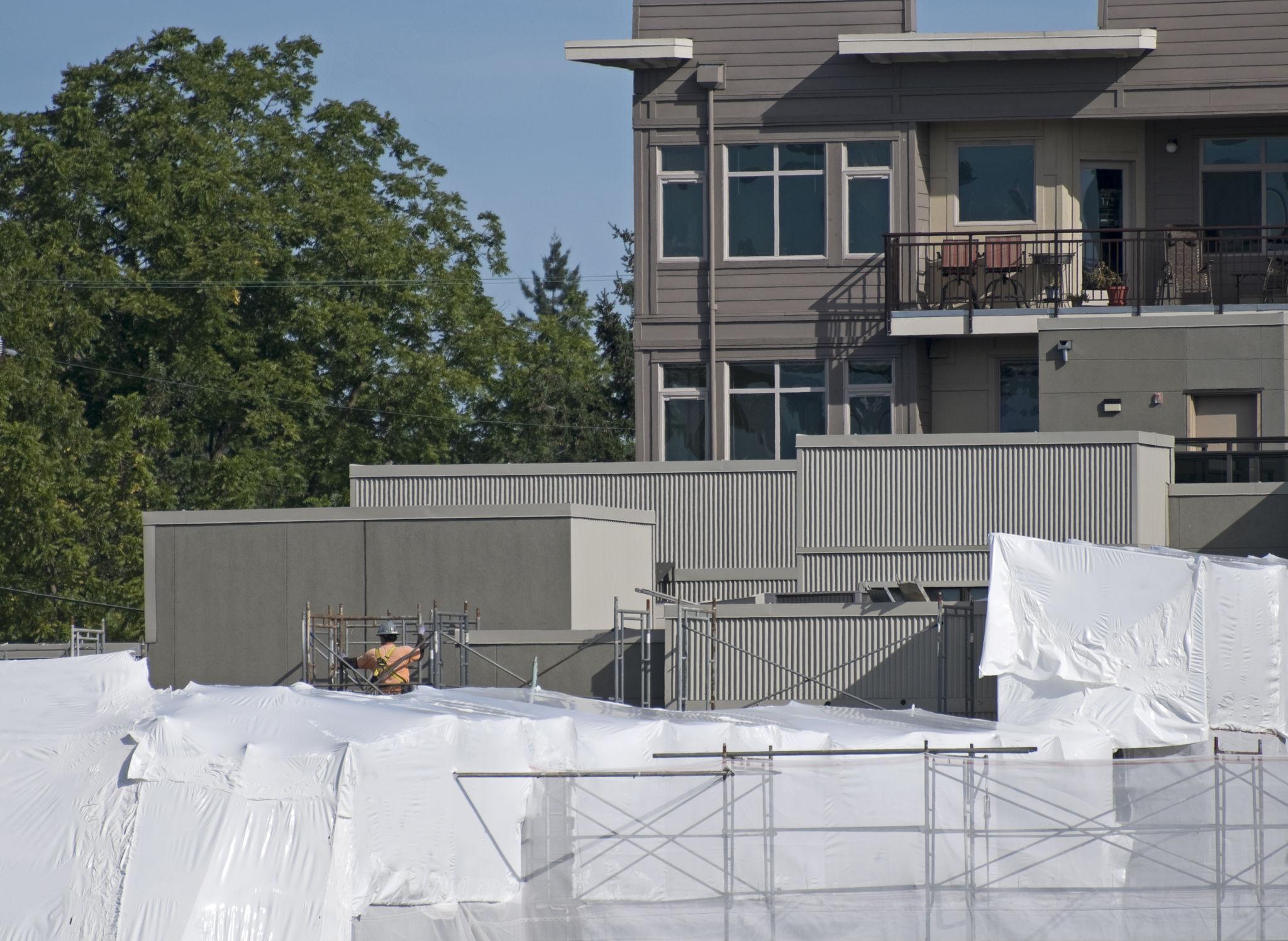 Mold Remediation Repairs | Pacific Building Solutions